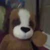 Tiernan Herrington G - @joanneherrington - TikTok