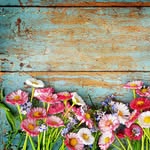 JoAnn Hoffmann - @ujinspired - Instagram
