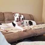 JoAnn Hunsinger - @hunsingerjoann - Instagram