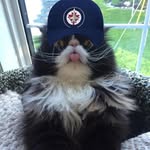 JoAnn Hurt - @joann63hurt - Instagram