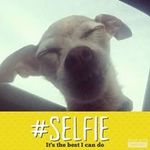 JoAnn Wagner Hurt - @wagnerhurt - Instagram