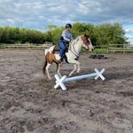 Jo Ann Hyde - @joann.hyde.98 - Instagram