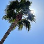 Joann Hydeman - @joannhydeman - Instagram