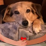 JoAnn Kirby - @joann.kirby1 - Instagram