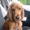Joanne Kirby733 - @joannekirby733 - TikTok