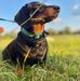 Joann Irwin - Facebook