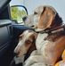 Joanne Jamison Holland - Facebook