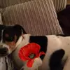 joannejamison91 - @joannejamison91 - TikTok