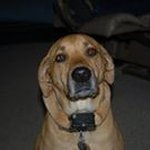 JoAnn Jarrell - @jajarrell2 - Instagram