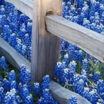 JoAnn Jarrell Patton - @joann.patton1 - Instagram