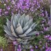 Joann Jorgensen - Facebook