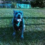 Joann Joyce - @joann.joyce - Instagram