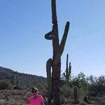 JoAnn Kaiser Mackelburger - @_joann_kaiser_mackelburger - Instagram