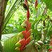 Jo Ann Karr - Facebook
