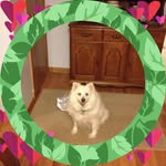 Joann Keyser - @joannkeyser - Instagram