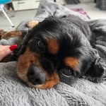 Joanie Knott - @joanieknott - Instagram