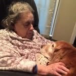 Jo Ann Koehler - @joannkoehler - Instagram