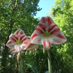 JoAnn Koehler - @joannmkoehler - Instagram