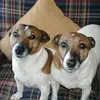 Joanne Lang - @joanne.lang7 - TikTok
