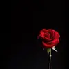 Joanna - @joanna_lemon - TikTok