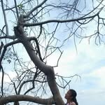 Joann Leong - @joann.leong.50 - Instagram