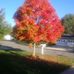 JoAnn Linn - Facebook