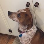 Joanne Lipscomb - @joannelipscomb - Instagram