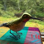 Joan Lofton - @shorthiker - Instagram