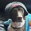 JoAnna Lovato Zgoda - @joanna.lovato.zgo - TikTok