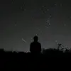 Joann Lowery - @joannlowery6737 - TikTok