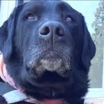 JoAnne Lowery - @lowery_joanne - Instagram