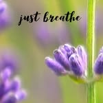 JoAnn Lytle / Wholesale Essential Oil Products - @justbreatheandrest - Instagram