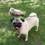 Joan Manley - @joanmanley - Instagram
