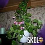 JoAnn Martens - @joannmartens - Instagram