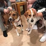 Joann Mastrodomenico - @joann._mastro - Instagram