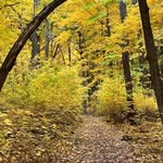 Jo Ann Mayer - @jo_ann_m1673 - Instagram