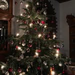 Joann Mayer - @joannmayer54 - Instagram