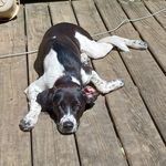 JoAnn Mayfield - @mayfieldjoann77 - Instagram