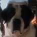 Joann Maynard - Facebook