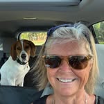 Joanne Maynard - @joannevwbug - Instagram