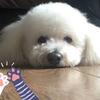 Joanne Mcgregor - @joanne.mcgregor1 - TikTok
