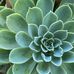 Joann Meeks - Facebook