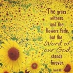 JMG - @joannmichaelgovender - Instagram