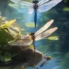 Joann Mitchell - @joann.mitchell65 - TikTok