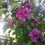 Joann Mitchell - @mitchell_joann - Instagram