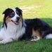 Joan Mosher - Facebook