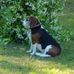 Joann Mott - Facebook