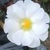 Joann Moyer - Facebook