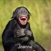 joannemoyerbeckow - @joannemoyerbeckow - TikTok