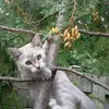 Jo-Ann Nessrallah - @joann.nessrallah - TikTok